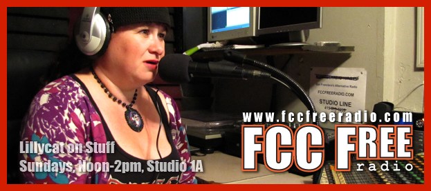 lillycat_banner
