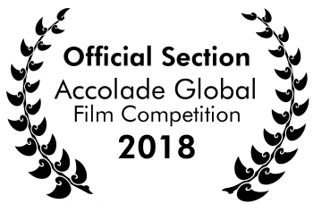 Accolade Selection Custom 1